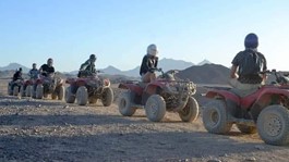 /photos/dailytrip/Safari 14 Titos_a518d_lg.jpg